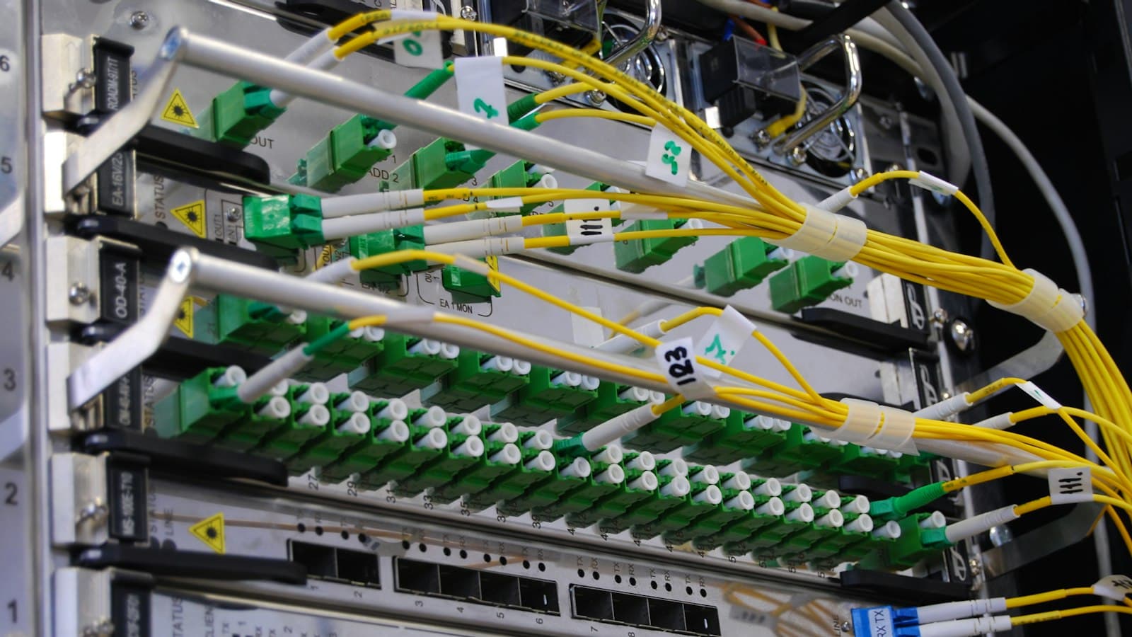 Labelled fibre patch cables running into a network switch